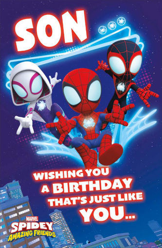 Picture of SON SPIDEY BIRTHDAY CARD